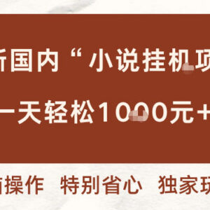国内小说挂机项目实操玩法 收益模式及操作要点全解析-雨叶虚拟资源网