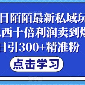 陌陌最新私域引流玩法拆解 低成本获客高利润卖货实操教程-雨叶虚拟资源网