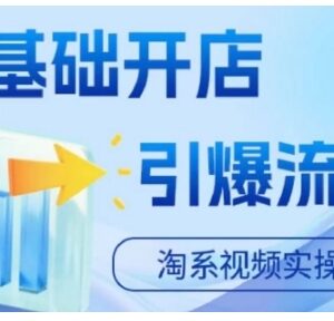 2024淘宝电商实操视频课 零基础开店全流程运营引流教程-雨叶虚拟资源网
