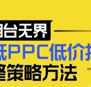 2024新版万相台无界低价扫流策略 店铺核心选款及低PPC实操方法-雨叶虚拟资源网
