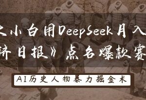 用DeepSeek制作AI古今对话短视频 经济日报点名的低门槛赚钱赛道-雨叶虚拟资源网