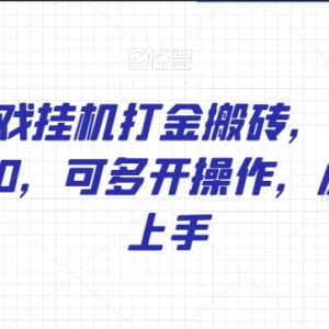 WOW游戏挂机打金搬砖实操教程 单号日入150-200小白可轻松上手-雨叶虚拟资源网
