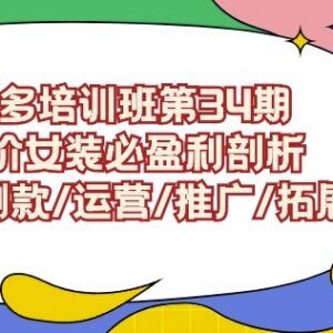 拼多多第34期高价女装教程 选品测款运营推广全流程解析-雨叶虚拟资源网