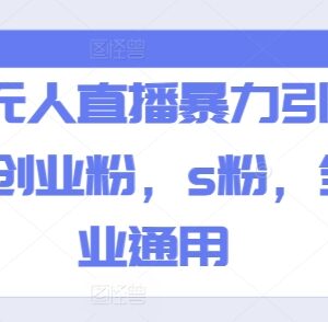 快手无人直播全行业通用引流玩法 可精准获取创业粉等目标受众-雨叶虚拟资源网