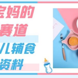 适合宝妈操作的婴儿辅食虚拟资料售卖低门槛副业玩法全解析-雨叶虚拟资源网