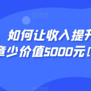 如何实现收入百十倍提升 价值5000元付费实操经验分享-雨叶虚拟资源网