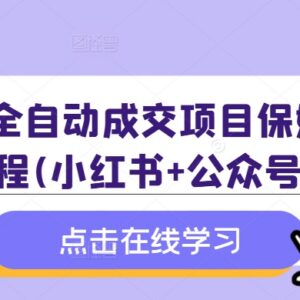 学科全自动成交项目保姆级SOP 小红书+公众号实操玩法附资料-雨叶虚拟资源网