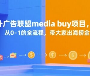 国外广告联盟Media Buy项目0-1全流程 海外投放赚佣实操教程-雨叶虚拟资源网