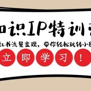 23节小红书知识IP特训营 全链路教你流量变现实操玩法-雨叶虚拟资源网