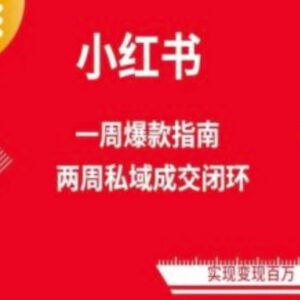 小红书免费流量体系实操课程 零基础学电商运营两周变现教程-雨叶虚拟资源网