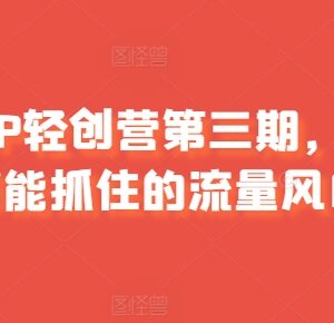 宝妈IP轻创营第三期课程 从IP打造到变现全阶段实操教程-雨叶虚拟资源网