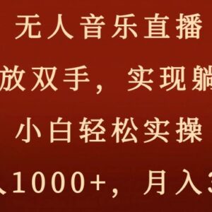 2024无人音乐直播实操全教程 小白轻松上手可获稳定被动收益-雨叶虚拟资源网