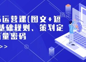 2025小红书运营系统课 覆盖图文短视频含规则定位流量全流程教学-雨叶虚拟资源网