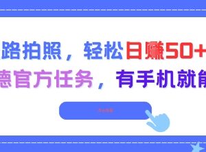 高德官方地图更新拍照任务详解 走路顺路可做单日收入50+-雨叶虚拟资源网