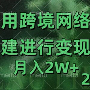 跨境电商海外直播专线网变现2.0玩法 月入2万实操揭秘-雨叶虚拟资源网
