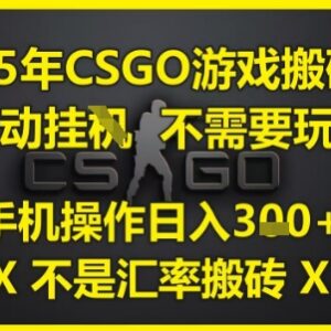 2025年CSGO非汇率搬砖项目 无需玩游戏手机全自动操作指南-雨叶虚拟资源网