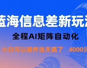 蓝海信息差AI矩阵自动化玩法 新手可操作单日收益可达千元-雨叶虚拟资源网