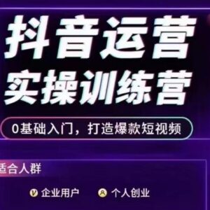 0基础抖音运营实操训练营 从入门到爆款短视频全攻略-雨叶虚拟资源网
