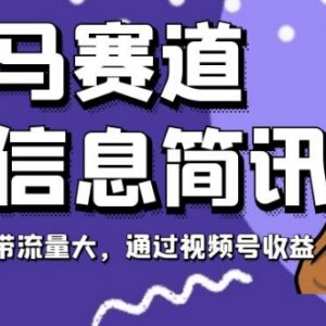 每日信息简讯黑马赛道运营攻略 视频号起号快新手易上手可变现-雨叶虚拟资源网