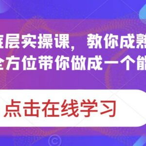 蟹老板打爆个人IP底层实操课 教你打造可商业化变现IP技能-雨叶虚拟资源网