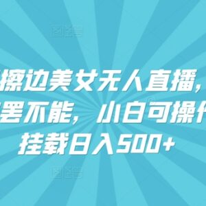 快手海外擦边美女无人直播玩法 小白挂载小铃铛可日入500+-雨叶虚拟资源网