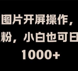 美女图片开屏抖音涨粉变现玩法 小白可操作赚钱项目实操指南-雨叶虚拟资源网