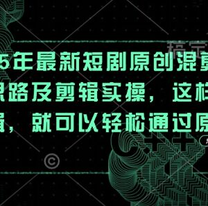 2025年最新短剧混剪思路及实操方法 助力轻松通过原创审核-雨叶虚拟资源网