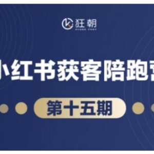 抖音小红书视频号带货直播变现教程 教你打造爆款高效变现-雨叶虚拟资源网