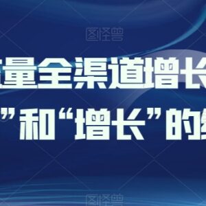 企业全渠道流量增长指南 天地人网搭建获客裂变实操教程-雨叶虚拟资源网