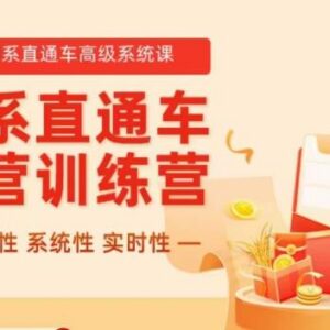 2023冠东淘系直通车高级系统课 全体系实操运营技巧干货教学-雨叶虚拟资源网
