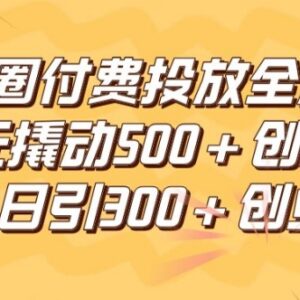 朋友圈高效付费投放全流程 低成本撬动精准创业粉引流方法-雨叶虚拟资源网