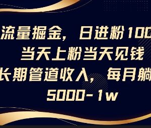短视频引流+网盘拉新副业实操 稳定日增粉100+可获长期管道收益-雨叶虚拟资源网