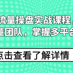 2024线上流量操盘实战课程 搭建高人效团队掌握多平台获客方法-雨叶虚拟资源网