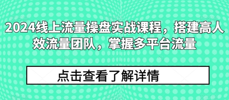 2024线上流量操盘实战课程 搭建高人效团队掌握多平台获客方法