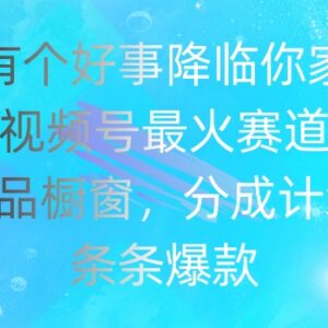 视频号好运降临爆火赛道玩法 商品橱窗及分成计划变现攻略-雨叶虚拟资源网
