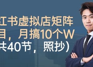 小红书虚拟店矩阵项目实操教程 40节零基础照做可月入过万-雨叶虚拟资源网