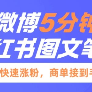 利用微博文案5分钟做小红书图文笔记 快速涨粉接商单教程-雨叶虚拟资源网