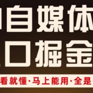AI自媒体风口掘金实操课 零基础低粉涨粉变现全链路教学-雨叶虚拟资源网