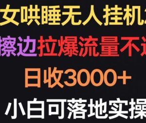 美女哄睡无人挂机2.0玩法解析 不违规易实操小白也能日入3000+-雨叶虚拟资源网