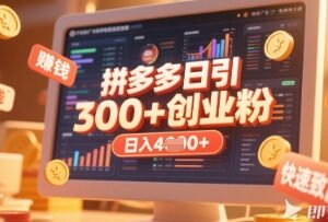 拼多多虚拟品开店引流创业粉实操教程 日引200粉获稳定收益-雨叶虚拟资源网