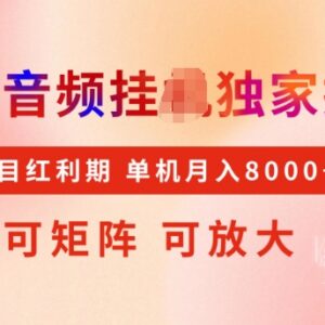 最新搜狐音频挂机项目实操玩法 红利期可矩阵放大稳定月入5k-雨叶虚拟资源网