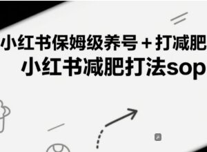 小红书减肥账号养号引流全流程 保姆级实操打法SOP指南-雨叶虚拟资源网