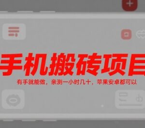 2025手机搬砖赚钱项目玩法 苹果安卓通用新手零门槛操作教程-雨叶虚拟资源网