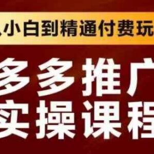 拼多多推广实操系统课程 从小白到精通付费玩法全攻略-雨叶虚拟资源网