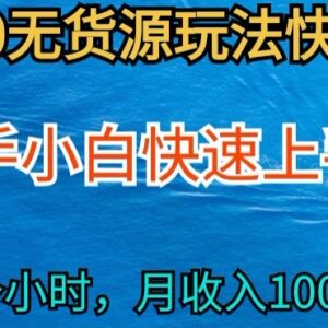 2024最新闲鱼无货源实操玩法 零基础小白低门槛上手副业教程-雨叶虚拟资源网