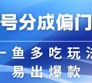 2024视频号创作者分成计划偏门类目 操作简单易爆流收益可观-雨叶虚拟资源网