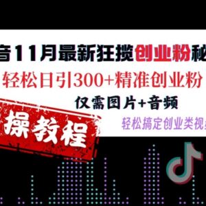 2024年11月抖音创业粉引流攻略 图片音频做视频日引300+精准粉-雨叶虚拟资源网