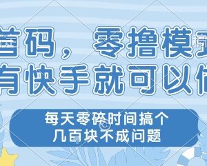 有快手就能参与的零撸赚钱项目 利用零碎时间即可赚零花钱-雨叶虚拟资源网