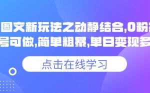 抖音0粉可做的动静结合小说推文图文玩法 实操变现教程-雨叶虚拟资源网