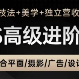PS高级后期进阶课 含技法美学及营收教学 适合设计摄影从业者-雨叶虚拟资源网